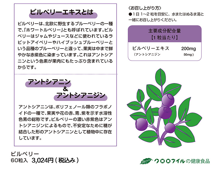 ビルベリー